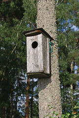 Image showing Big Bird Box