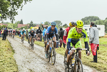 Image showing The Peloton on a Cobbled Road- Tour de France 2014