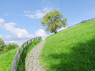 Image showing Difficult cobble stones upward path