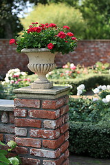 Image showing Vase with red roses