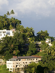 Image showing Beautiful palm landscape in the mountains