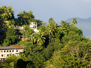 Image showing Beautiful palm landscape in the mountains