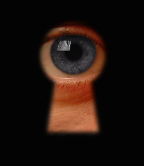 Image showing Keyhole surveillance