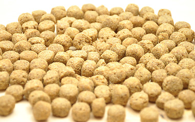 Image showing Detailed but simple image of dog food