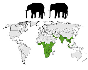 Image showing Elephants range