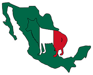 Image showing Coyote Mexico