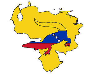 Image showing Crocodile Venezuela