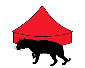 Image showing Tiger in circus 