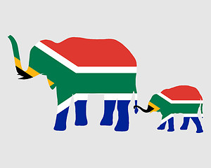 Image showing Elephant and baby with flag of south Africa