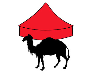 Image showing Camel in circus 