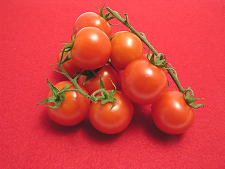 Image showing Little tomatoes on twig and red placemat