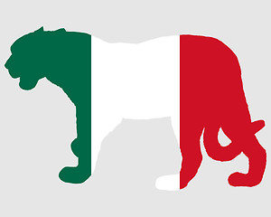 Image showing Jaguar Mexico