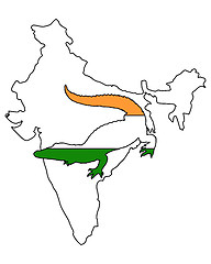 Image showing Crocodile India