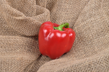 Image showing Pepper on jute