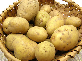 Image showing A basket with potatoes on a beige placemat