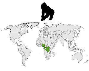 Image showing World Gorilla range