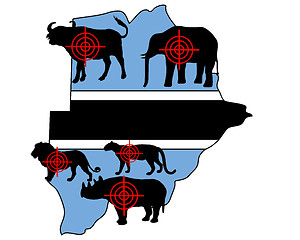 Image showing Big Five cross hairs Botswana