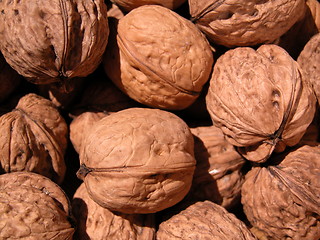 Image showing walnuts