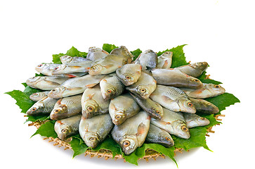 Image showing River fish (carp) and the greens on a round dish.