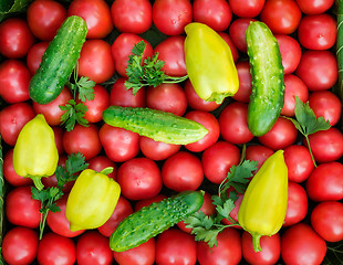 Image showing Mature tomatoes of bright red color of the small size, pepper an