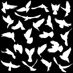 Image showing Concept of love or peace. Set of silhouettes of doves. Vector il