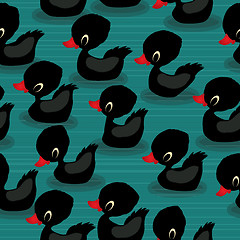 Image showing Black baby ducks