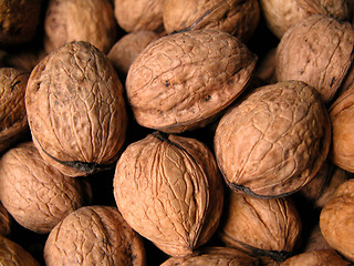 Image showing walnuts