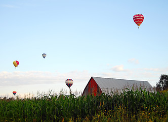 Image showing Hot Air Balloons