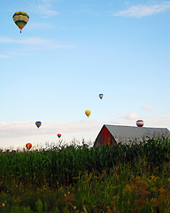 Image showing Hot Air Balloons