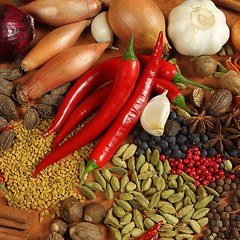 Image showing Spices and herbs