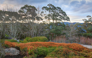 Image showing Blue Mountains Australia