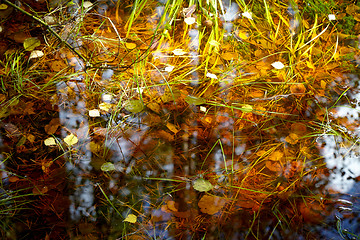 Image showing Autumn background