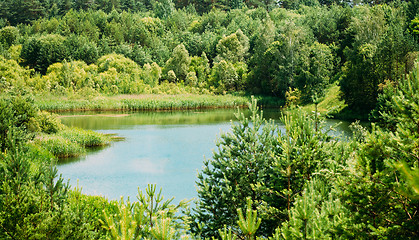 Image showing Summer Forest River Lake Pond Bog Landscape