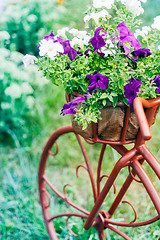 Image showing Decorative Bicycle In Garden 