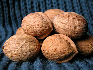 Image showing walnuts