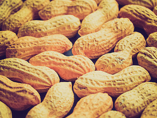 Image showing Retro look Peanut