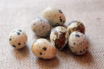 Image showing some eggs of the quail on the sacking