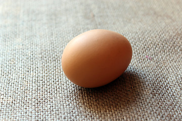 Image showing an egg of hen on the sacking