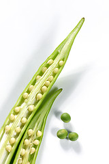 Image showing fresh vegetable