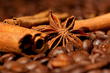 Image showing Coffee beans