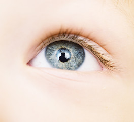 Image showing baby eye 