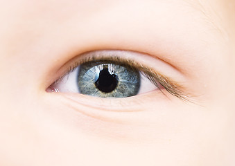 Image showing baby eye