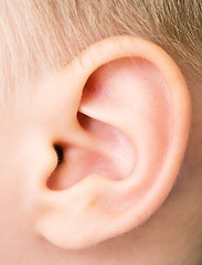 Image showing baby ear
