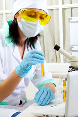 Image showing scientist in laboratory analyzing yellow liquid in test tube