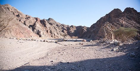 Image showing Stone desert in Israel