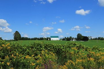 Image showing A barn with green roof