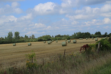 Image showing A freshly rolled and wrapped hay bales 2