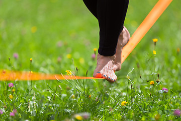 Image showing Slack line in the city park.