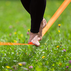 Image showing Slack line in the city park.