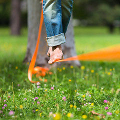 Image showing Slack line in the city park.